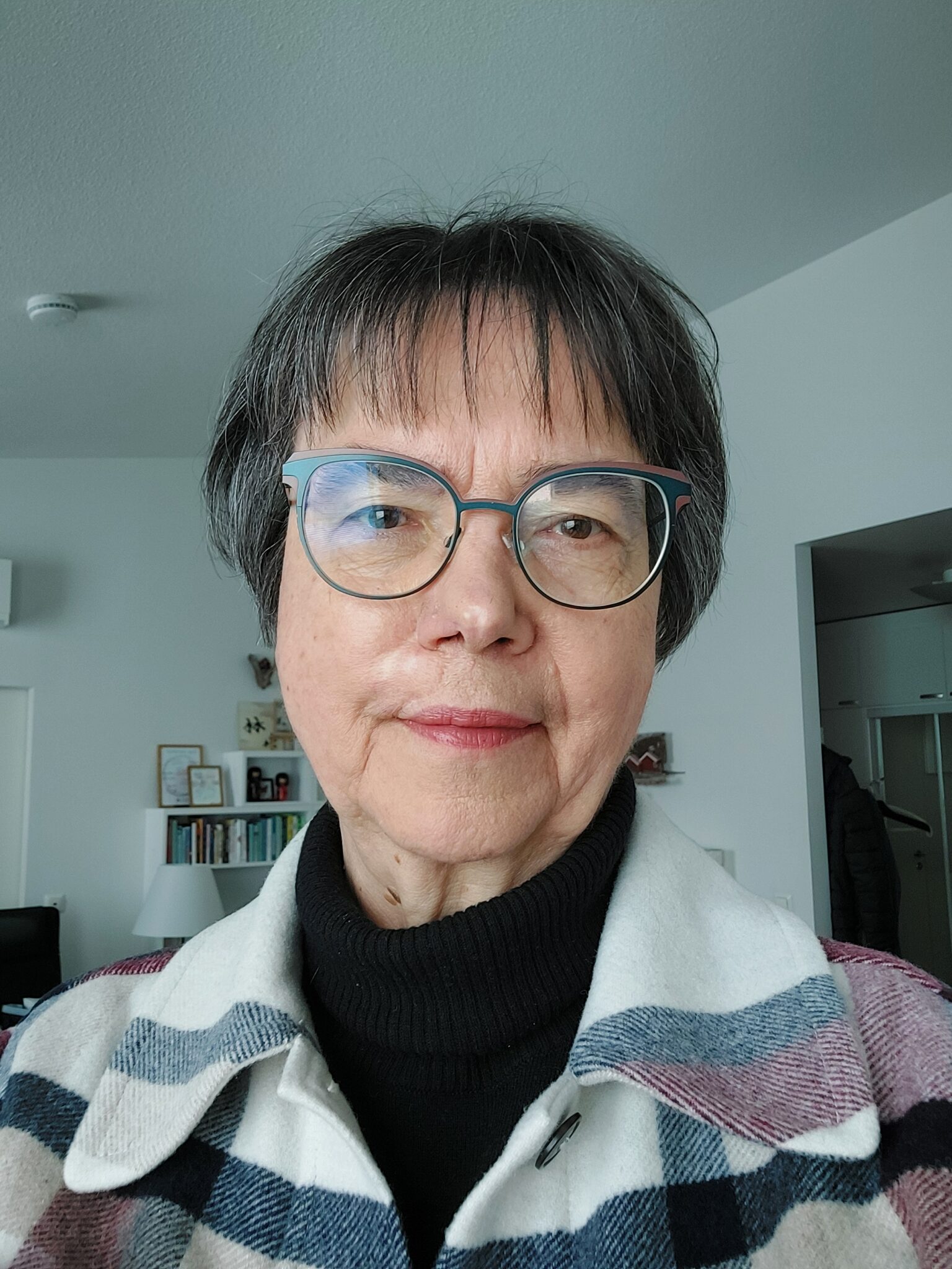 Anne Stenros