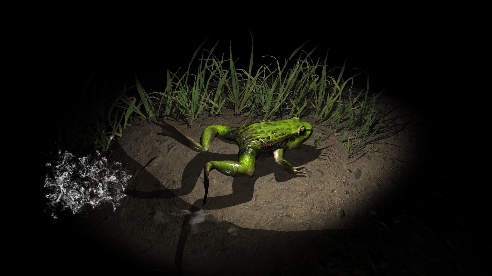 Green frog splashing out of water