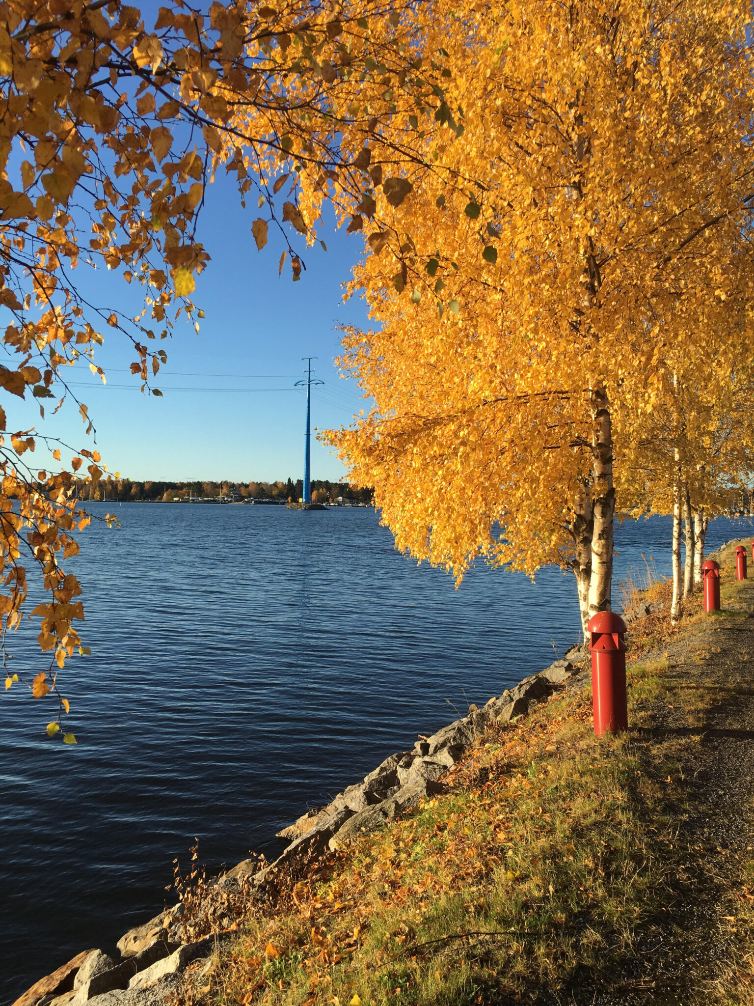 Kultainen syksy Vaasan yliopiston kampuksella.